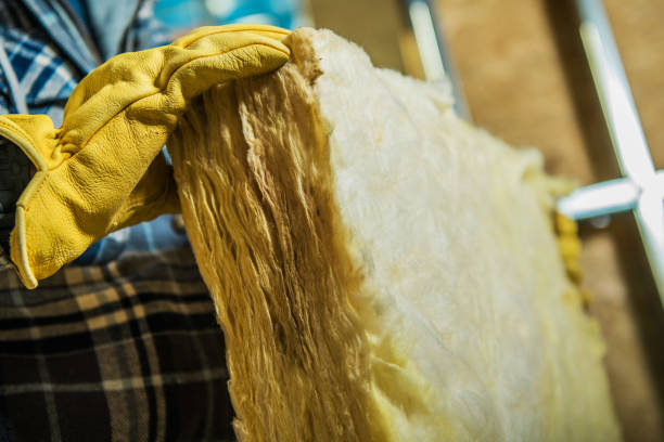 Trusted Slidell, LA Insulation Contractor Experts