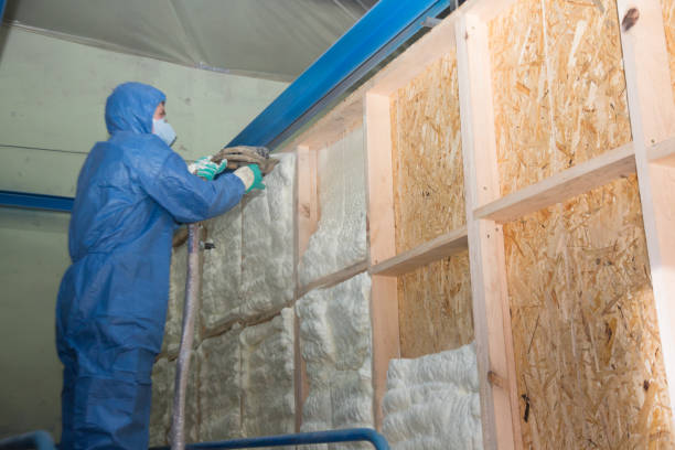Best Attic Insulation Installation  in Slidell, LA