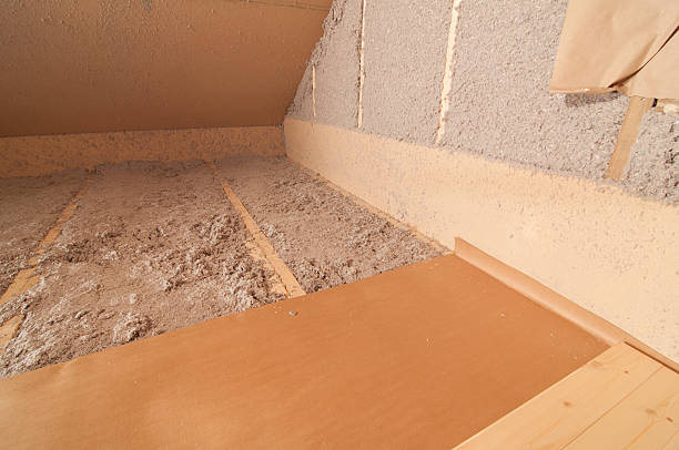 Best Home Insulation Services  in Slidell, LA