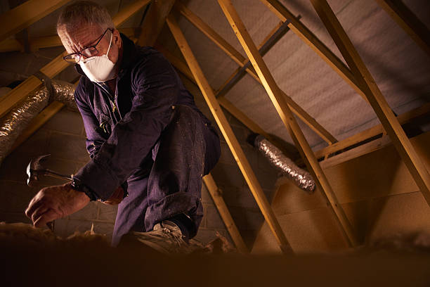 Insulation Repair Services in Slidell, LA